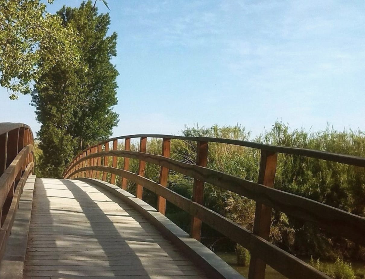 A sustainability consulting business founded during a Garerano programme
